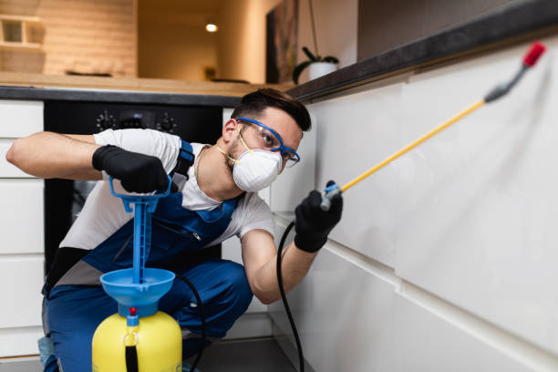 Best Wasp Removal Services  in Homeland Park, SC