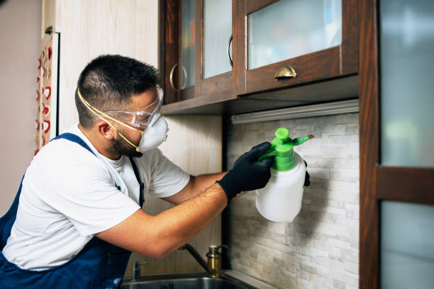 Best Best Pest Control Companies  in Homeland Park, SC