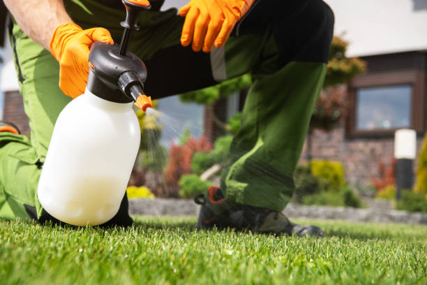 Best Cockroach Control Services  in Homeland Park, SC