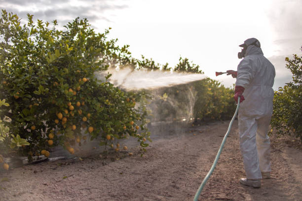 Best Residential Pest Control  in Homeland Park, SC
