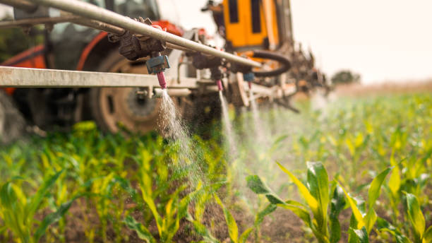 Best Pest Control Treatment  in Homeland Park, SC